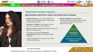 Тепловой стресс птицы – что с этим делать?