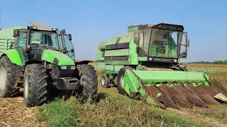 ĐURO U AKCIJI, POCELA JE ZETVA KUKURUZA /AGROVLOG/ #15