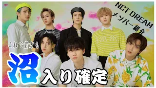 【NCTDREAM】ドリムの空白期をこの動画で乗り切ろう【メンバー紹介】