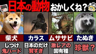 海外の人が驚く日本だけの動物7選！ 【ゆっくり解説】