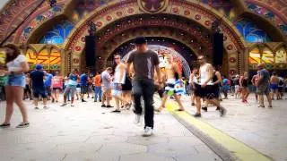 Shuffle @ Tomorrowland 2014