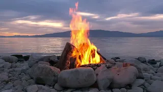 Julie Daraîche au feu