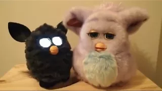 2012 and 2005 Furbies chat and sing together