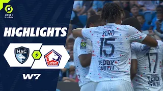 HAVRE AC - LOSC LILLE (0 - 2) - Highlights - (HAC - LOSC) / 2023-2024