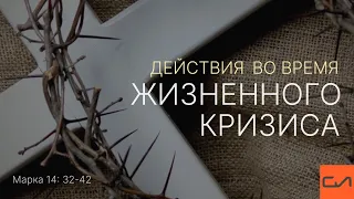 Марка 14:32-42. Действия во время жизненного кризиса | Андрей Вовк | Слово Истины