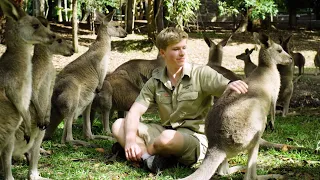 Australia Zoo has re-opened!