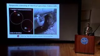 Talking Science: "Epigenetics: Inheriting More Than Genes" featuring C. David Allis