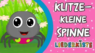 Klitzekleine Spinne - Kinderlieder zum Mitsingen | Liederkiste