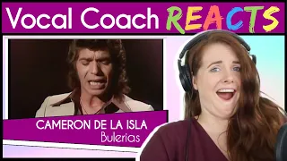 Vocal Coach reacts to Camaron de la Isla & Paco de Lucia - Bulerias (Live)