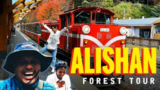 ALISHAN FOREST Tour in Taiwan!