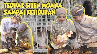 TEDHAK SITEN MOANA 7 BULAN. Berhasil Masuk Kurungan Ayam