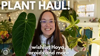 Plant Haul! Wishlist Hoya, aroids and Begonia I haven't showed you yet | Plant with Roos