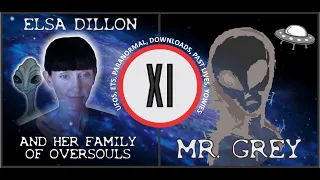 Elsa Dillon: Family Of OverSouls - Plasma Beings, ETs, Yowies, UFOs Past Lives, Downloads & More!