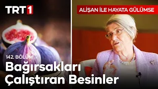 Kabızlık Nasıl Önlenir? 📌  Prof. Dr. Canan Karatay - Alişan ile Hayata Gülümse 142. Bölüm