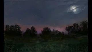 The Witcher Music: Fields at Night
