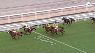 HKJC主席短途獎 Chairman's Sprint Prize 一級賽 G1 1200m 2024-04-28 賢者無敵 INVINCIBLE SAGE 沙田馬場 Shatin Racecours