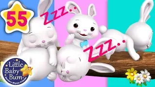 Sleeping Bunnies | + More Nursery Rhymes & Kids Songs | Songs For Kids | Learn with Little Baby Bum