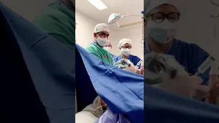 Dr. Maurício Leite - Ortopedia e cirurgia da mão