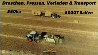 Dreschen, Pressen, Verladen & Transport 550ha Getreide & 8000T Ballen Gersten ernte 2023