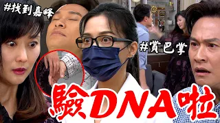 天道│EP259 找到嘉峰！瑞安身分遭懷疑靜玉賞巴掌偷檢體 珊珊看穿羅家計謀擬換臉蒙混 Fight For Justice│ Vidol.tv