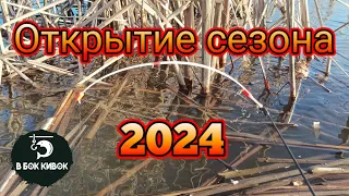 БЕШЕНЫЙ КЛЁВ КАРПА!!!! ОТКРЫТИЕ СЕЗОНА 2024 ПО БОКОВОМУ КИВКУ.