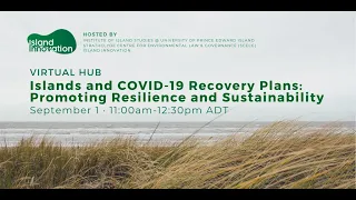Virtual Hub - Islands and COVID-19 Recovery Plans: Promoting Resilience and Sustainability