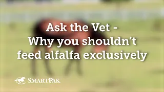 Ask the Vet - Why you shouldn't feed alfalfa exclusively