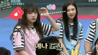 everytime red velvet joy falling in love with iz*one choi yena