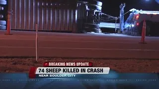 At least 74 sheep dead after trailer overturns on US 93 near Boulder City
