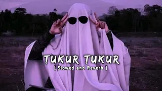 Tukur Tukur [ Slowed and Reverb ] Music Lover