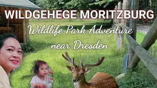 Wildgehege Moritzburg Wildlife Park Adventure near Dresden