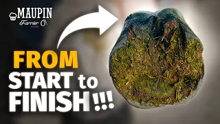 From Start To Finish | Satisfying Horse Hoof Restoration in 4K