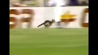 Silvio Luiz late e espanta gato do jogo São Paulo x Real Madrid 1992