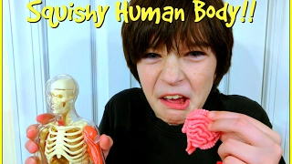 Squishy Human Body Homeschool Science Fun