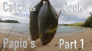 Papio Catch and Cook!