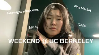 Average Berkeley Student On An Average Weekend : stud dying, flea market, more studying...
