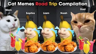 Cat Memes Road Trip Compilation Full