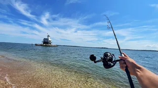 48 Hours Exploring and Fishing Long Island (the dog days)