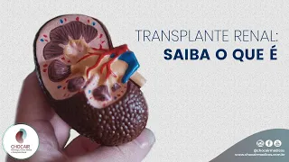 Transplante Renal: Saiba o que é | Chocair Médicos Associados