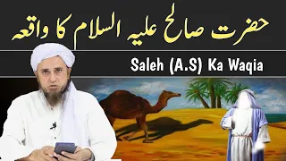 Saleh (A.S) Aur Quom E Samod Ka Waqia | Mufti Tariq Masood | Islamic Noor