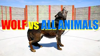 Far Cry 5 Arcade - Animal Fight: Leader Grey Wolf vs All Animals Battles