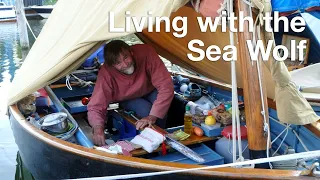 LIVING WITH THE SEA WOLF - Avel Dro in the Netherlands - part 2