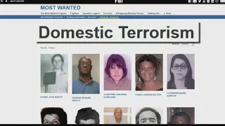Rise in domestic terrorism threats