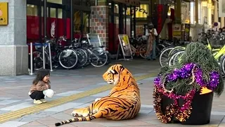 Bushman prank with 75 inches tiger on Halloween extras :  I bit everyone to scare!
