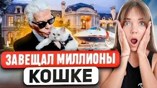 Топ 12 САМЫХ необычных фактов о КАРЛЕ ЛАГЕРФЕЛЬДЕ: что вы точно не знали о великом дизайнере