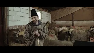 Călători în lumea Muntelui - Apusenii - film documentar păstorit - 2024