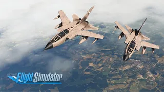 Mind... BLOWN! Introducing the Indiafoxtecho Tornado | Ex-Tornado Pilot's First Look (MSFS)