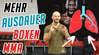 SO bekommst du MEHR AUSDAUER beim BOXEN & MMA !! - Boxen lernen - RINGLIFE