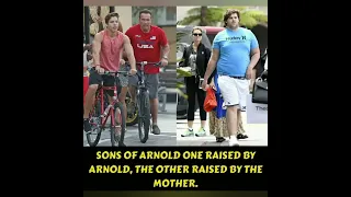 ARNOLD'S SON FAT AND FIT ❤️ aayushmanmotivationgyan