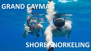 Grand Cayman FREE Shore Snorkeling - Suggested Sites